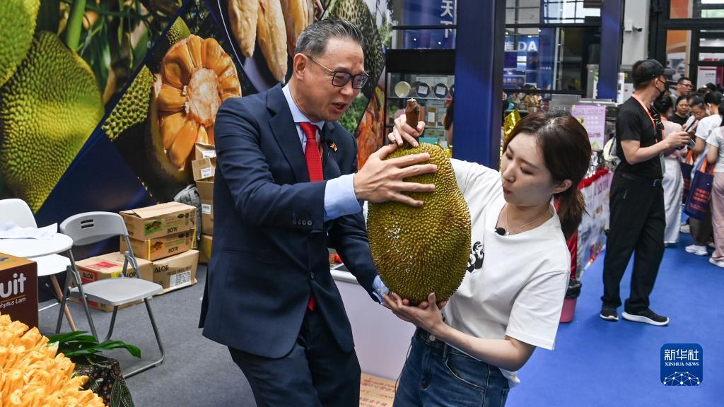 龙宝是什么意思